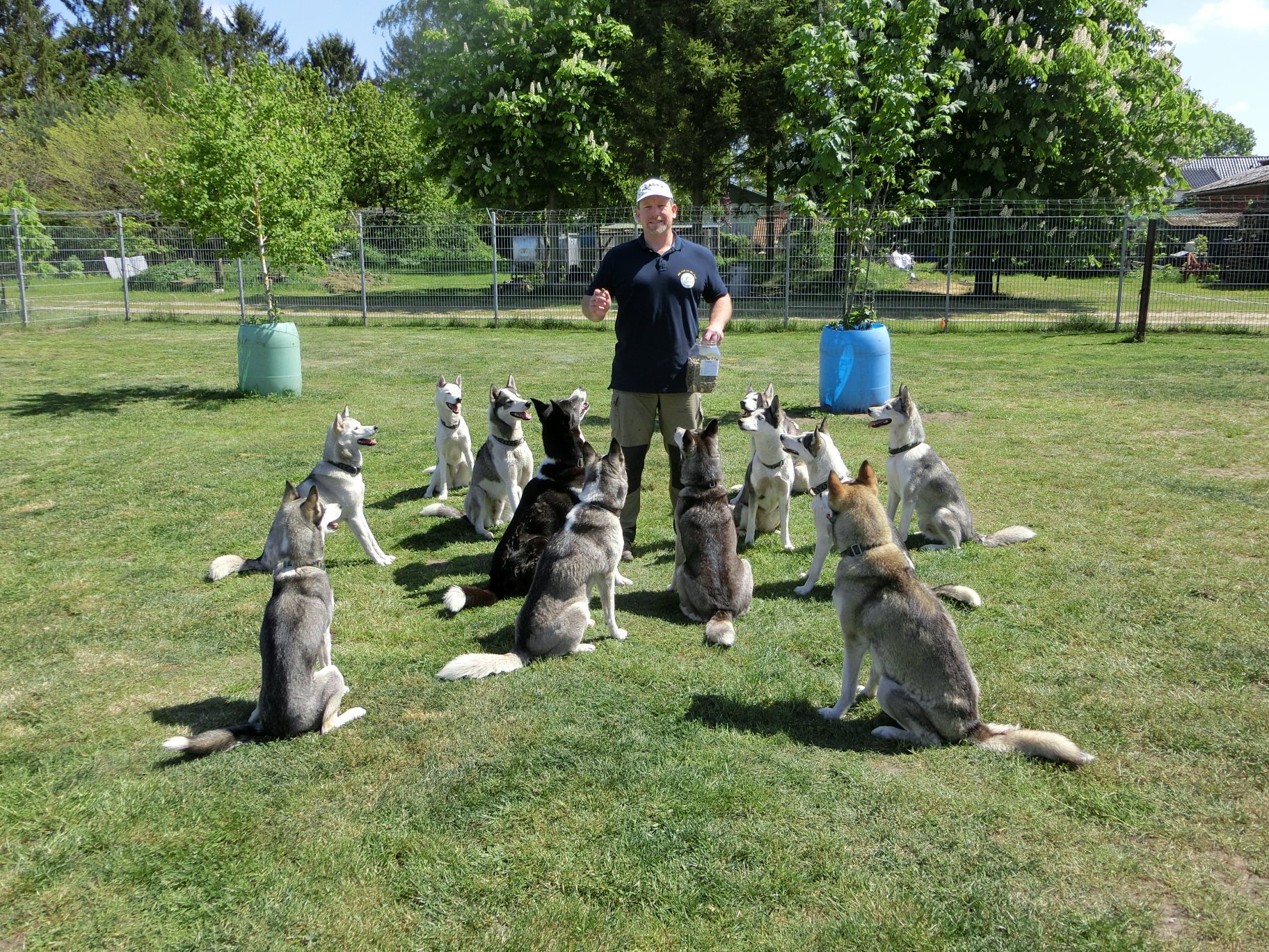 Kalle umringt von seinen 17 Hunden