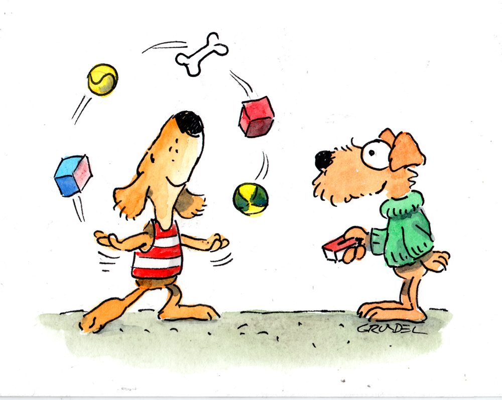 Bild: Stadt, Bahn, Bus- Der Urban Dog Walk Kursbild